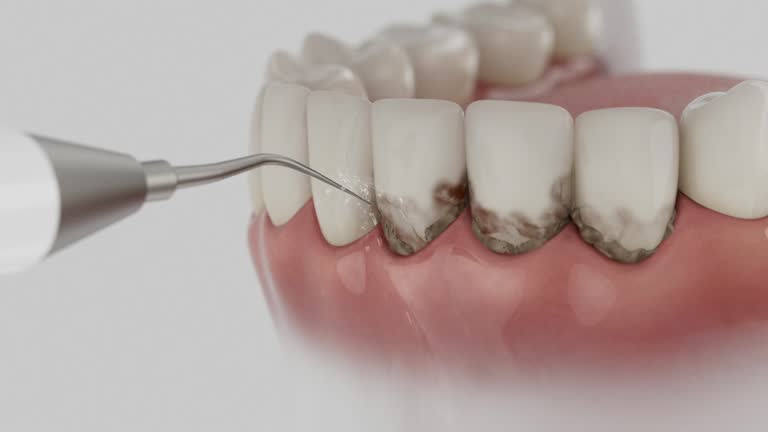 Reliable Dental contractor in Leipsic, OH by Dentist Open Now